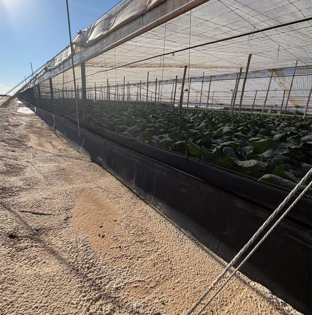 Faldones de polietileno de alta densidad (PEAD): protección y eficiencia para la agricultura